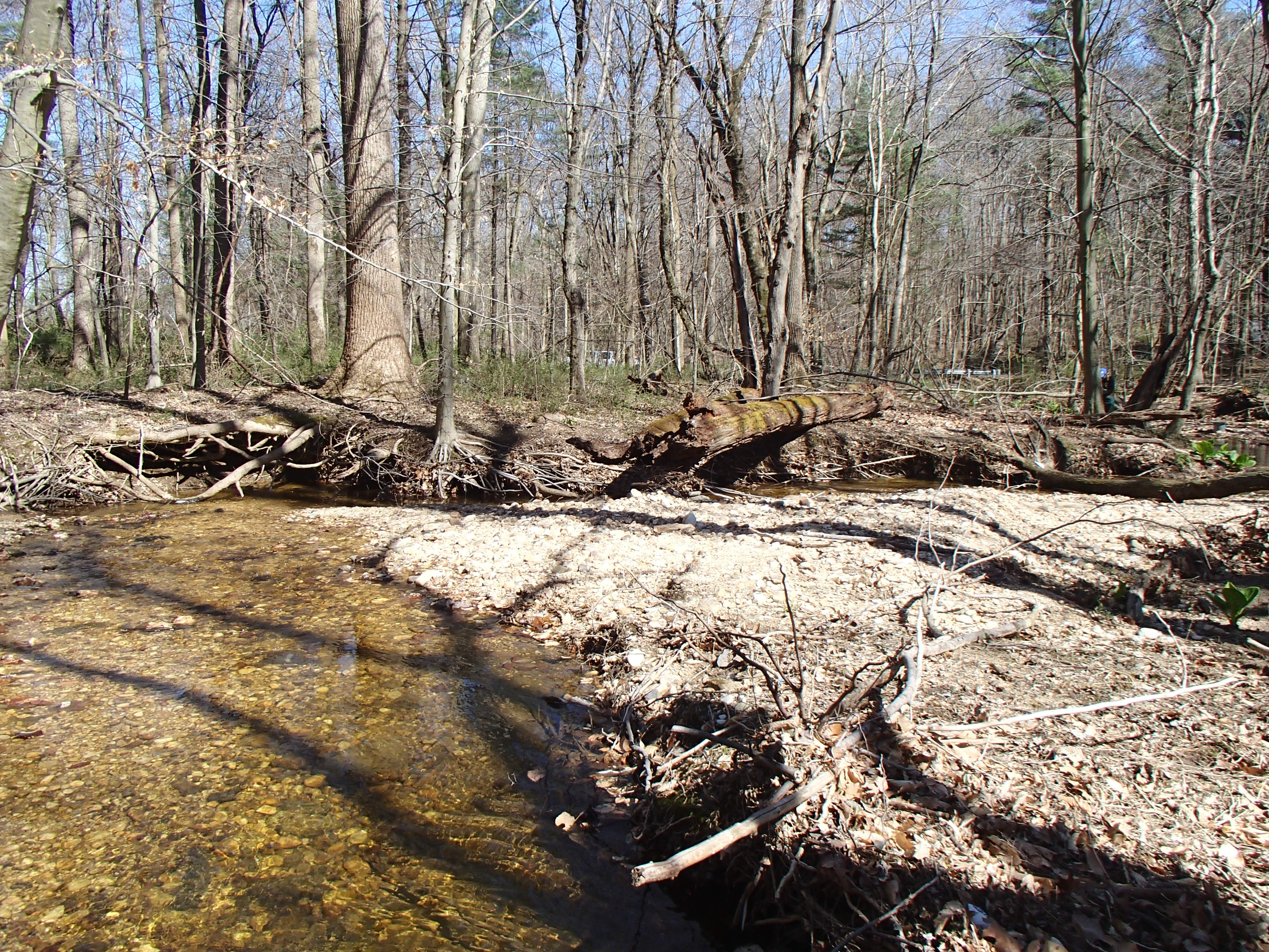 Field photo showing stream conditions at site FURN-101-S-2016_downstream from midpoint